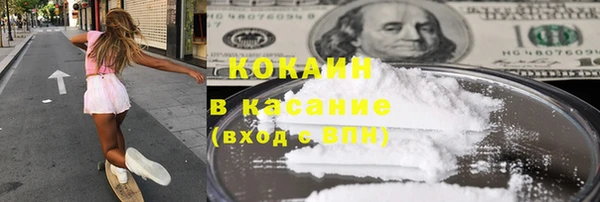 гашик Пересвет