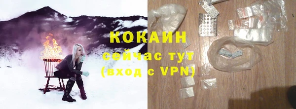 гашик Пересвет