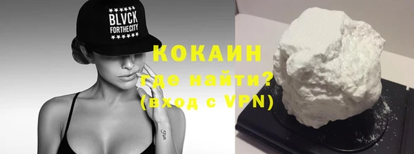 гашик Пересвет