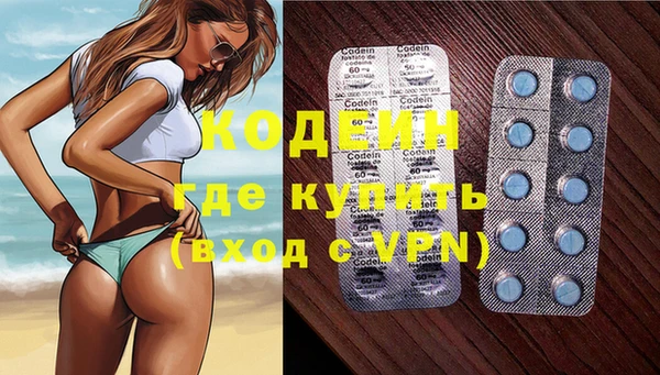 гашик Пересвет