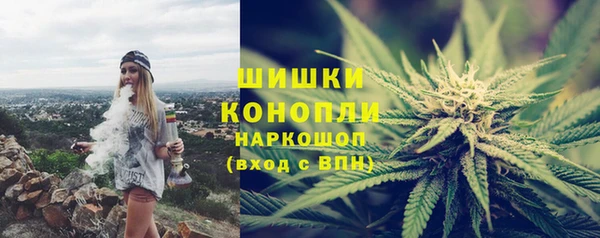 гашик Пересвет
