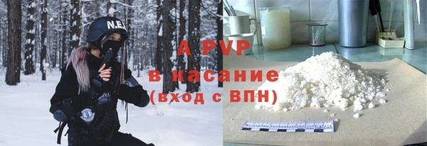 гашик Пересвет