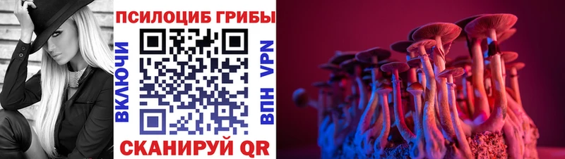 даркнет сайт  Анадырь  Псилоцибиновые грибы мухоморы 